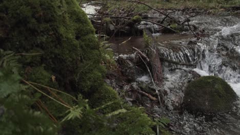 pan-shot-of-little-creek-running-in-moss-covered-ground