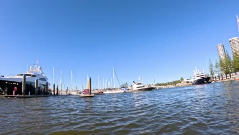 yachts sailing in gold coast harbor