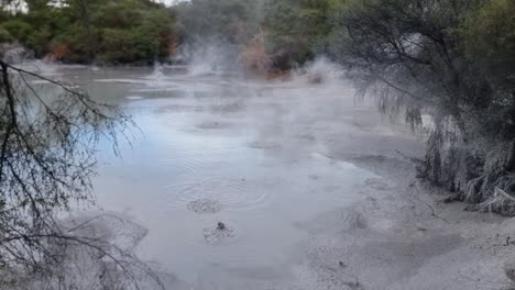 Barro-Caliente-Burbujeante-Con-Vapor-Saliendo-Ubicado-En-Rotorua,-Nueva-Zelanda