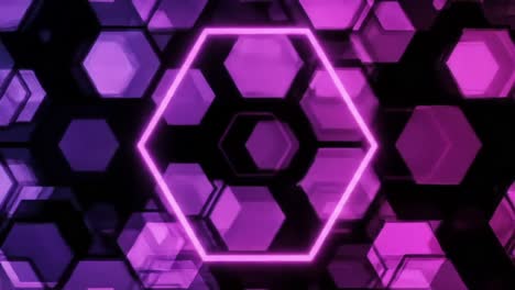 a dynamic visual transformation showcases a mesmerizing hexagonal motif, transitioning from vibrant purple to cool blue, embodying a captivating interplay of colors and shapes