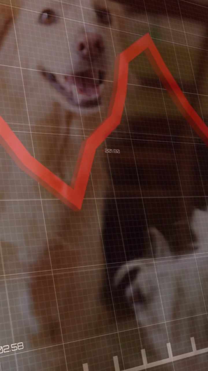 Small dog tilting tan dog entering arc appearing red chart sweeping across data grid obscuring pets