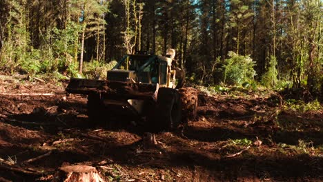 Skidder-Conduciendo-En-El-Suelo-Del-Bosque-Fangoso-Recogiendo-Troncos-De-Pino-Recién-Cortados