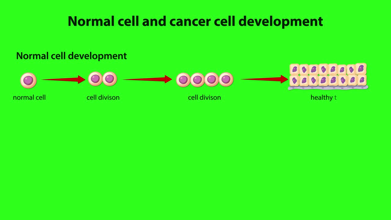 Animated diagram compares healthy cell division and cancer growth, with clear labels on green background