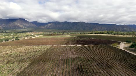 A-picturesque-scene-captures-the-serenity-of-vineyards-in-the-foreground,-while-the-majestic-Andes-Mountains-provide-a-spectacular-backdrop-in-Cafayate,-Salta,-Argentina