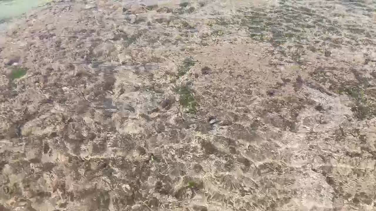 Shallow clear water with visible sea bed
