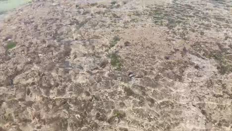 shallow clear water with visible sea bed