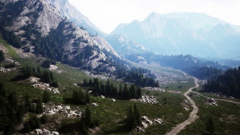 aerial view of green coniferous forest in the mountains