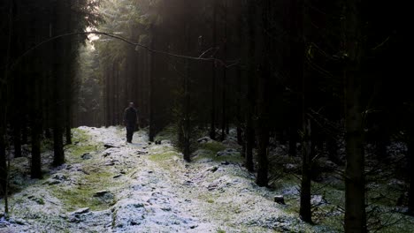 Hombre-Caminando-En-Un-Hermoso-Bosque-Oscuro,-Tiro-Estático