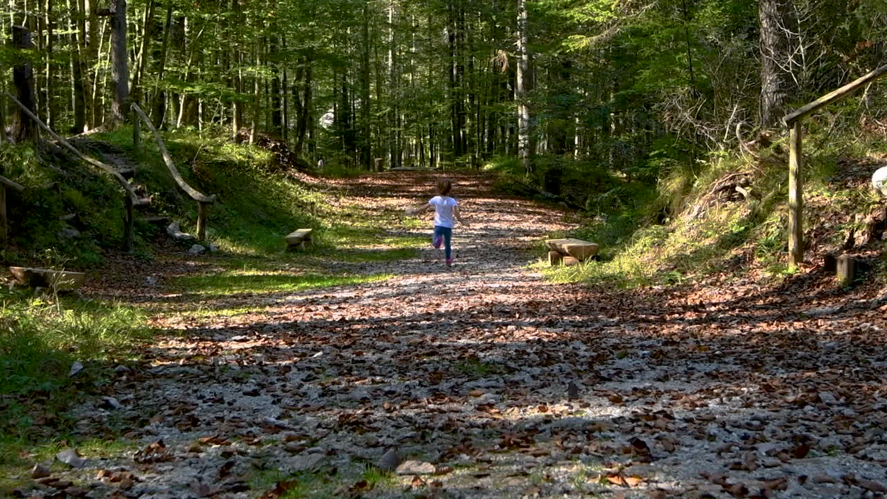 어머니 뒤에 숲에서 실행, 숲에서 노는 소녀, 가을 단풍과 foothpath, 뒤에서 촬영, 멀리 직면
