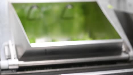 máquina de lavado de verduras en la fábrica de alimentos o en la cocina