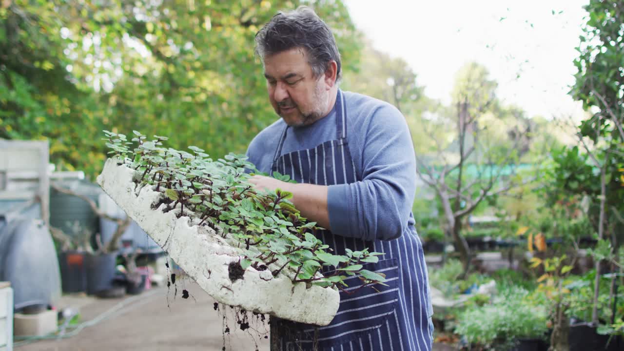 jardinero caucásico que sostiene plántulas, mirando a la cámara y sonriendo en el centro del jardín