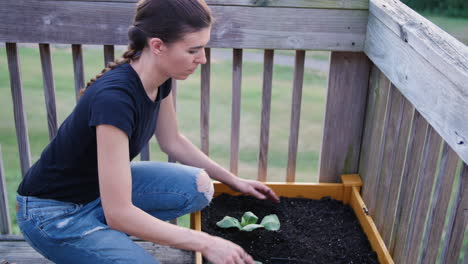 Mujer-Joven-Plantando-Coles-De-Bruselas