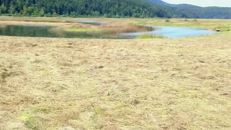 low aerial view over intermittent lake at lake cerknica in slovenia