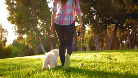 young woman walks white fluffy dog away from camera