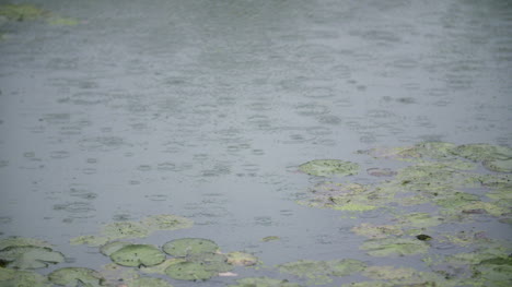 raining rain on water surface 2