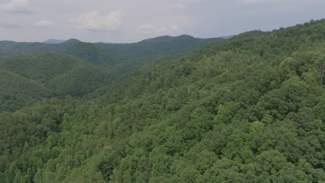 在北卡罗来纳山脉之间的山谷中, 一片雾<unk>的下午天空飞过绿色树木的空中镜头