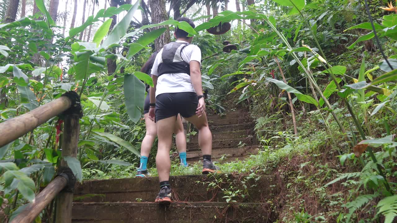 Back view of an Asian couple walks along a pathway in a tree-filled park