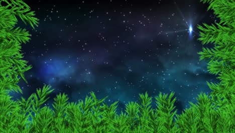 animation of christmas fir tree over night sky