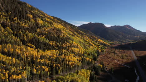 Yellow-and-Green-Foliage-in-Autumn-Season,-Aerial-View-of-Forest-and-Countryside-Road-on-Golden-Hour