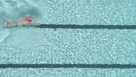 overhead drone footage of a female swimmer diving into an outdoor pool and swimming laps as part of her triathlon training