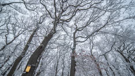 Un-Hermoso-Día-De-Invierno-En-El-Parque-Hvezda-En-Praga