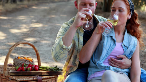 pareja tomando vino en una granja de olivos 4k