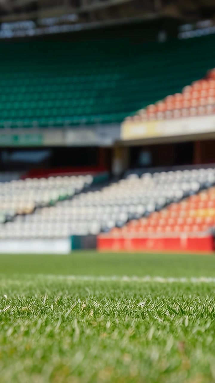 Video verticale: L'obiettivo si allontana rivelando il manto erboso verde, la linea bianca e i sedili tricolore allo stadio.
