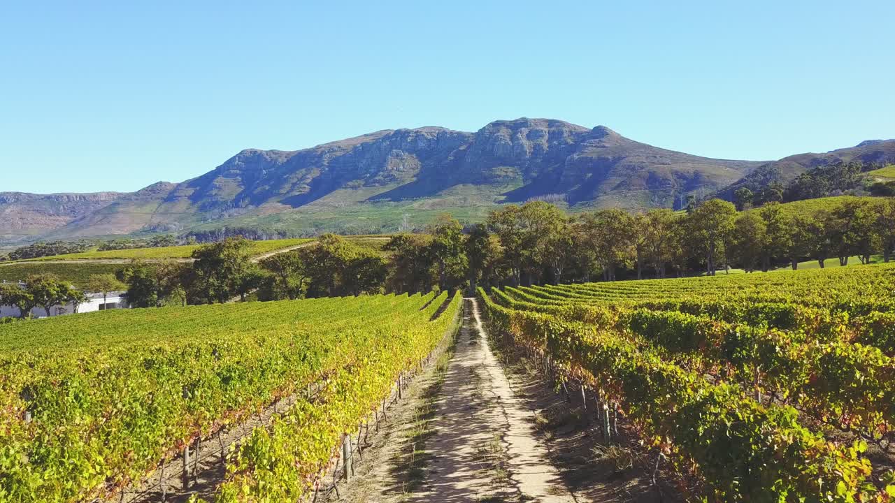 산이 있는 황금시간 동안 바위가 많은 해변을 공중에서 바라보세요
