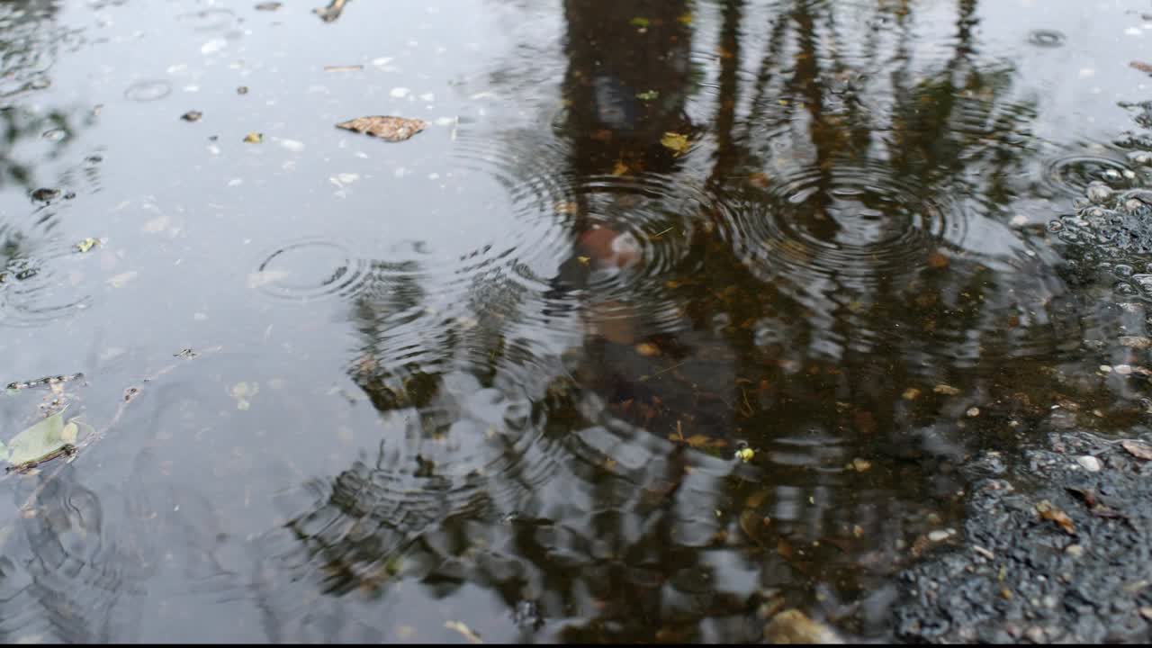 Raining in a Water Puddle on Asphalt