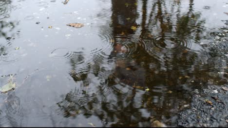 raining in a water puddle on asphalt