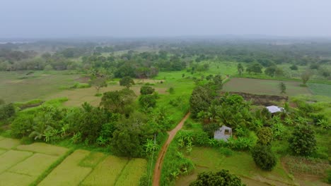 zoom in aerial view of lush green farmlands, houses and trees in tropical sri lankan countryside