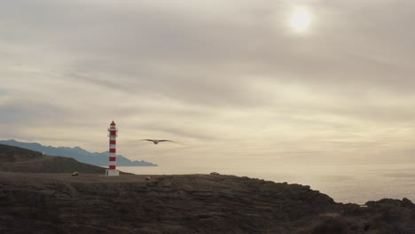 drone shot of a lighthouse with a gull flying in the foreground