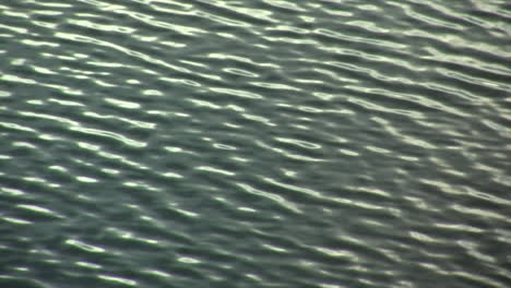 rippling waves on surface of lake