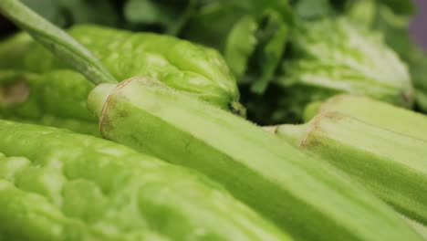 fresh okra and bitter melon