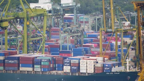 busy port with container ships and cranes