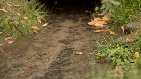 Klares-Süßwasser,-Das-Im-Herbst-Kieselwellen-Spritzt