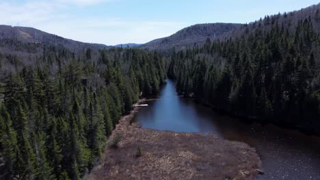 volar sobre el río entre el bosque de árboles altos con montañas en el fondo