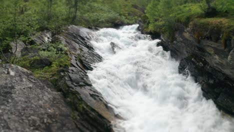 stikkelvikelva river