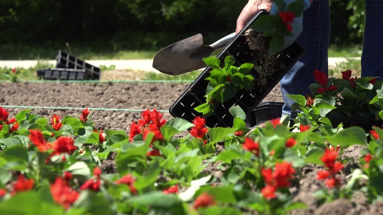 mujeres jardineras al aire libre en el parque de la ciudad.