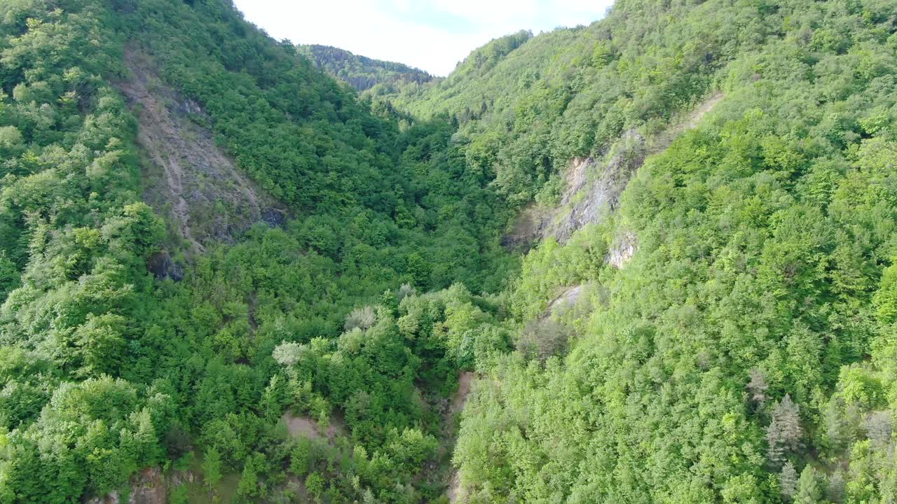 Aerial shot revealing a mountain covered by trees and vegetation in Suhi Potok, Slovenia