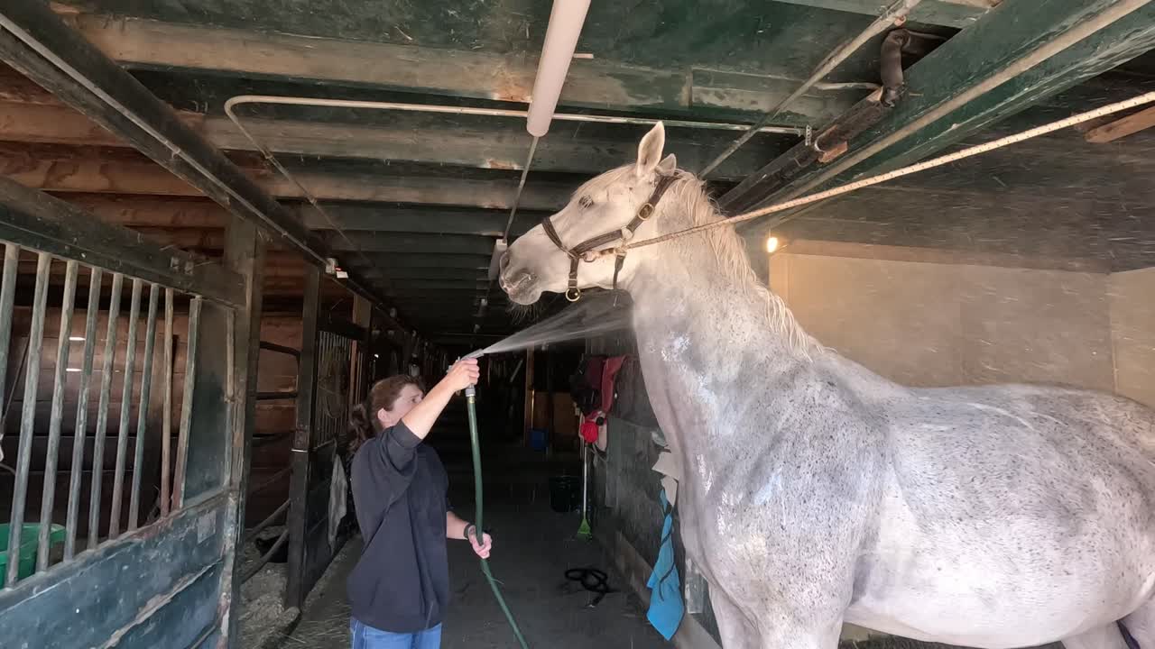 A woman in a stable sprays a horse with water to clean it. Water splashes at the camera. Shot in slow motion