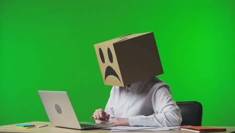 person with cardboard box head on laptop