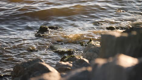 Murky-sea-waves-gently-splashing-on-stones-on-rocky-coast-in-sunlight