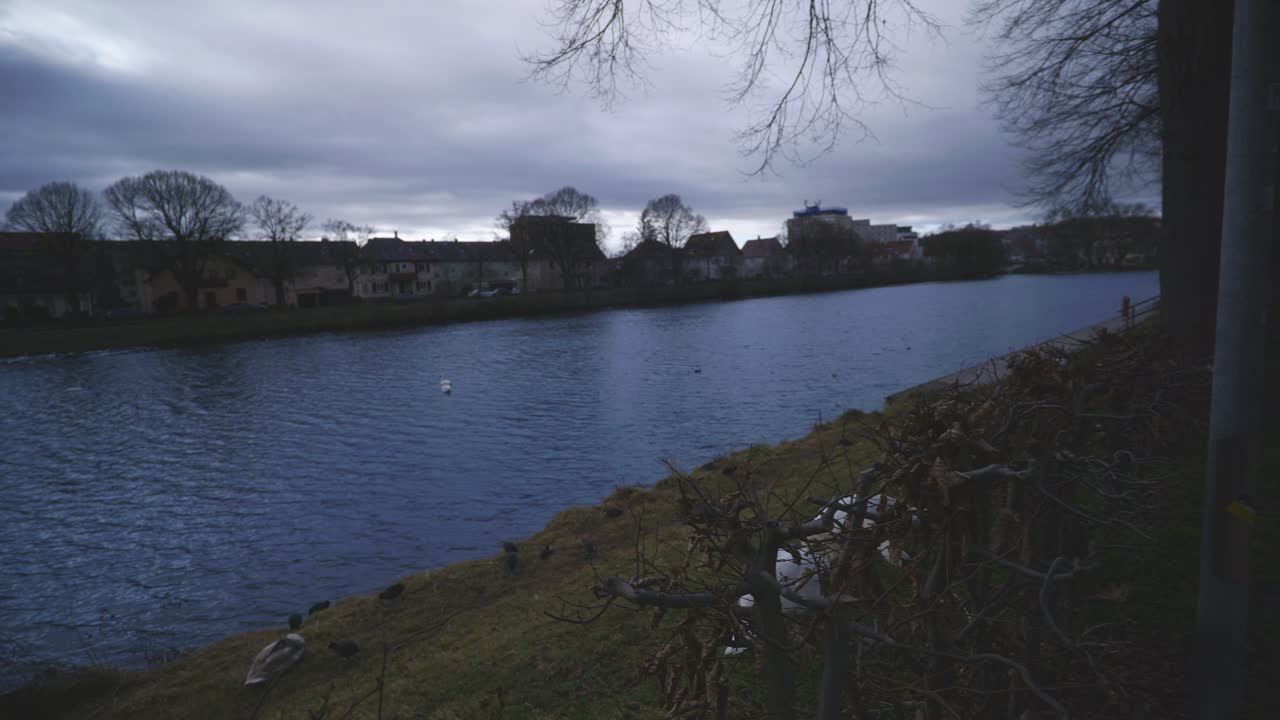 사람이 걸을 때 나무 뒤에 오리 두 마리 - 4k의 야생 동물이 있는 튀빙겐 독일 강변 자연 공원