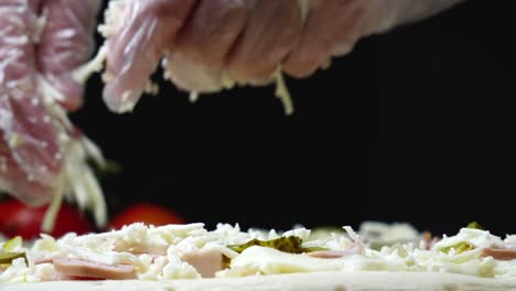 haciendo una pizza