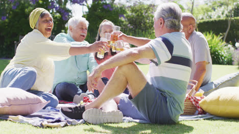 Happy-diverse-senior-male-and-female-friends-making-a-toast-at-a-picnic-in-sunny-garden,-slow-motion