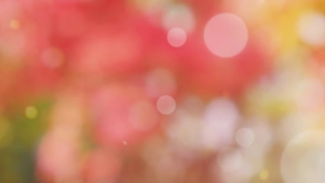 abstract spring background with bokeh