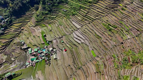 Imágenes-De-Drones-Sobre-Las-Famosas-Terrazas-De-Arroz-Batad-Y-El-Pueblo-En-El-Norte-De-Filipinas