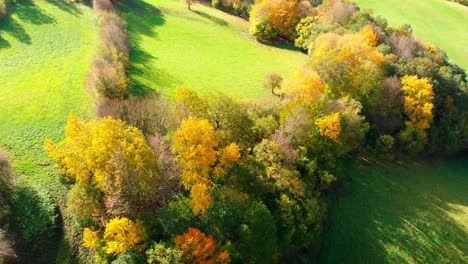 Vista-Aérea-De-Drones-Del-Bosque-De-Follaje-Otoñal