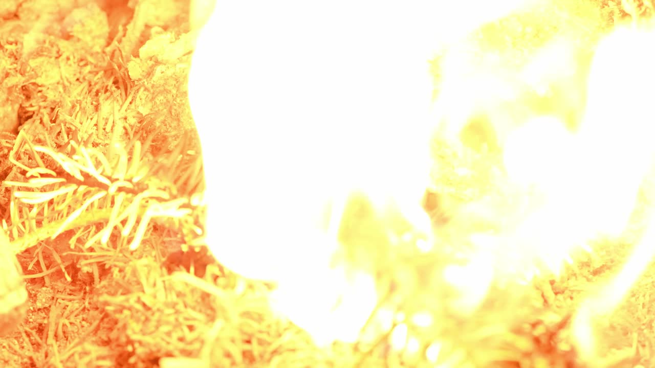 불빛의 오렌지색과 은색의 불꽃의 질감, 걱거리는 크리켓의 소리, 으로 볼 때.